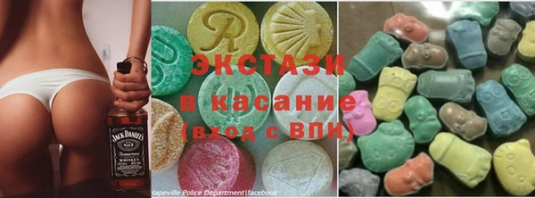 индика Козловка