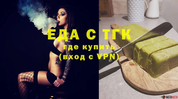 индика Козловка