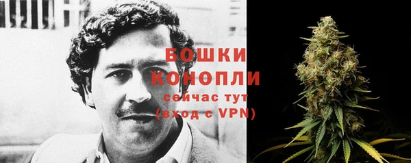 индика Козловка