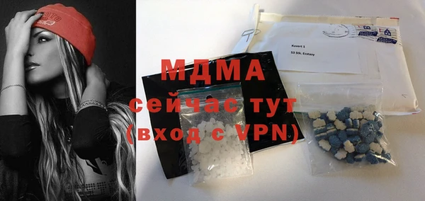 индика Козловка