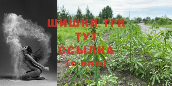 индика Козловка
