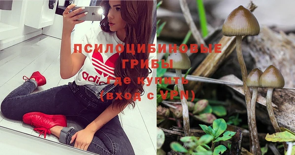 ECSTASY Кодинск