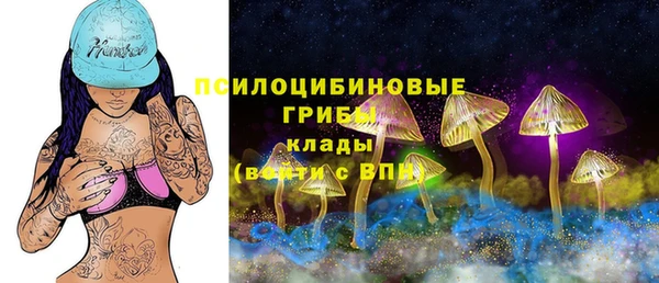 ПСИЛОЦИБИНОВЫЕ ГРИБЫ Карталы