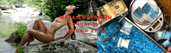 индика Козловка