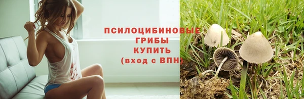 ECSTASY Кодинск