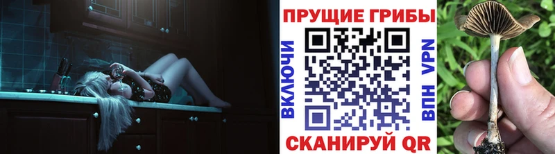 Псилоцибиновые грибы мицелий  Костомукша 