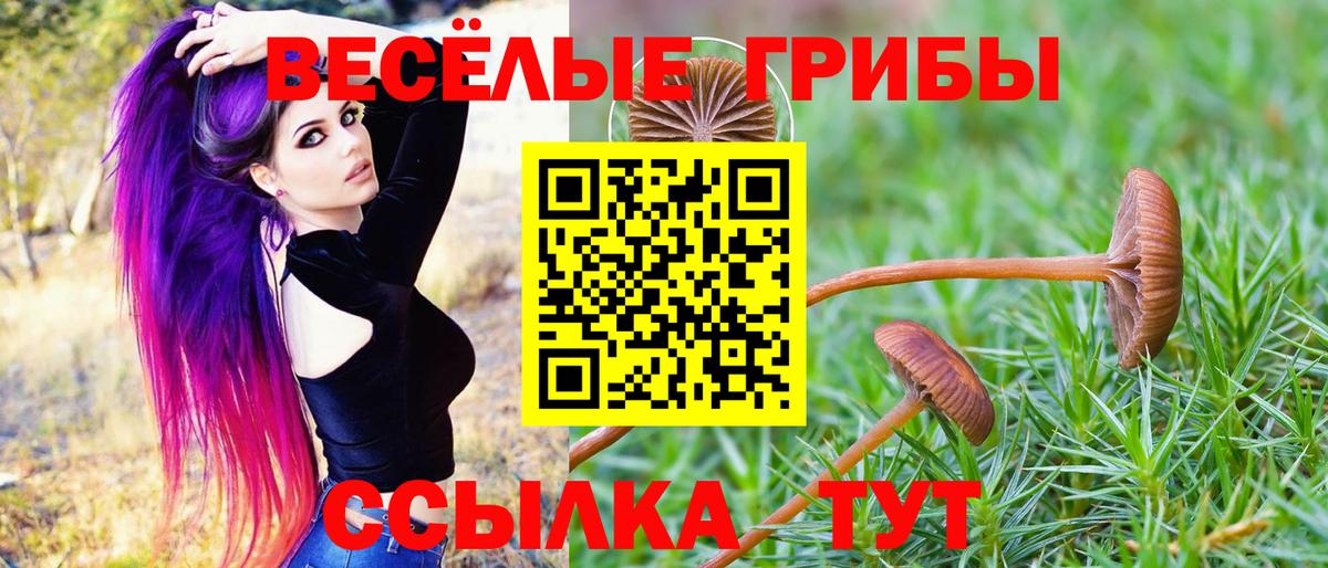 Костомукша  Псилоцибиновые грибы мицелий  Вход с VPN 